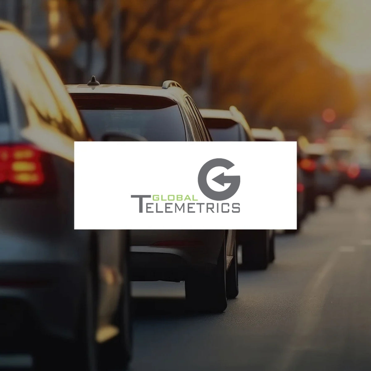 Global Telemetrics